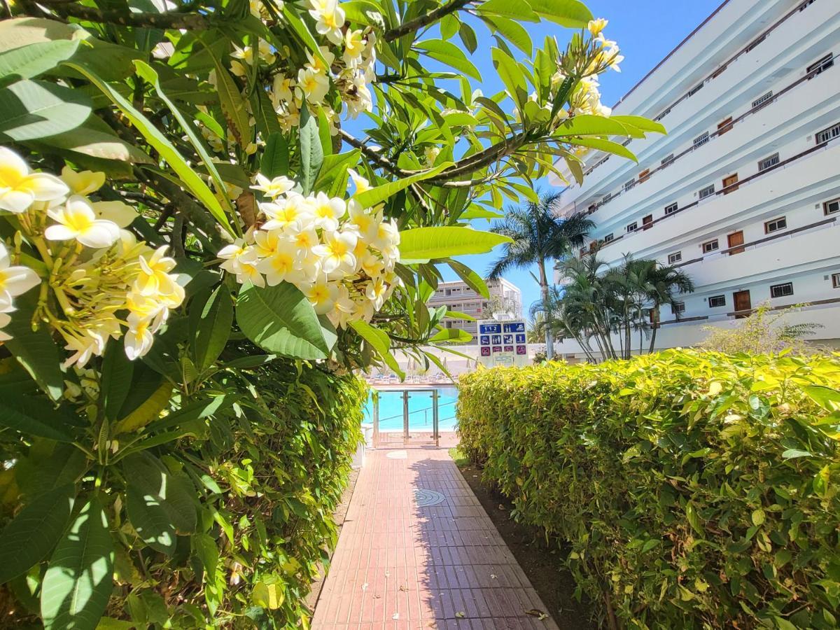 Las Camelias Apartments Playa del Ingles  Bagian luar foto