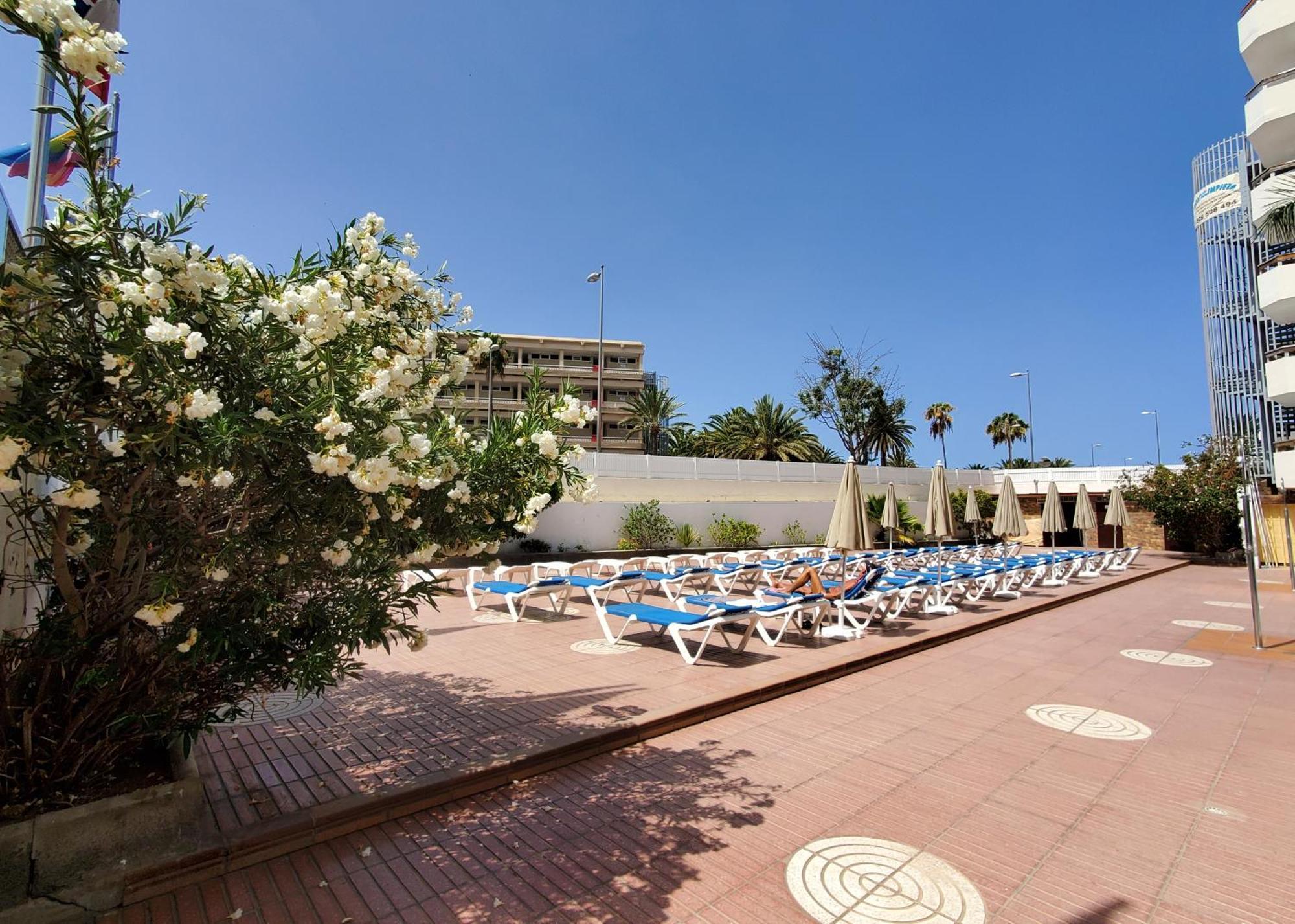 Las Camelias Apartments Playa del Ingles  Bagian luar foto